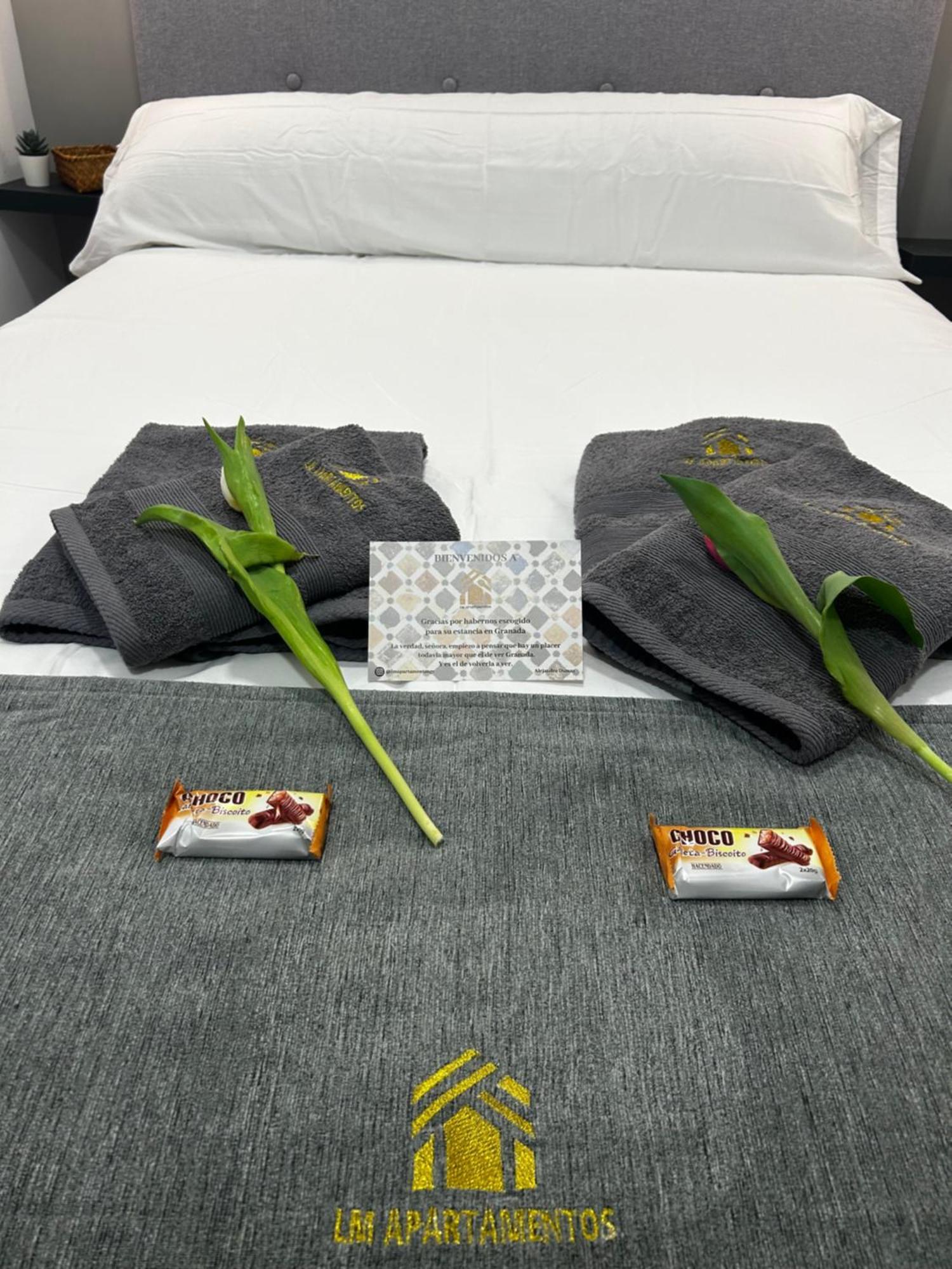 Lm Apartamentos Puentezuelas 그라나다 외부 사진